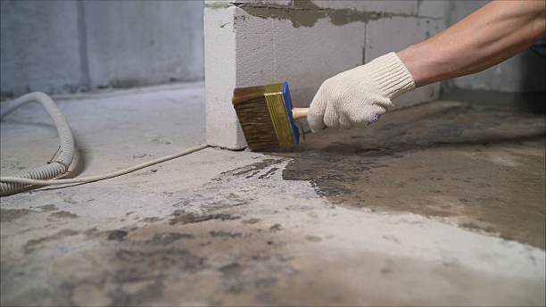 Top rated local Crawl Space Encapsulation specialists in St. Paul, VA
